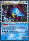 Feraligatr (Prime) (HGSS07/25) [HeartGold & SoulSilver: HGSS Black Star Promos]